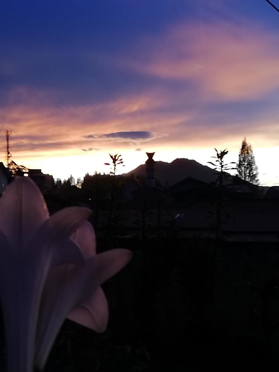 Smiley'S Homestay Berastagi Bagian luar foto